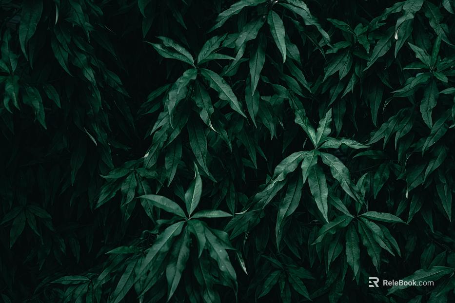 plant pattern texture