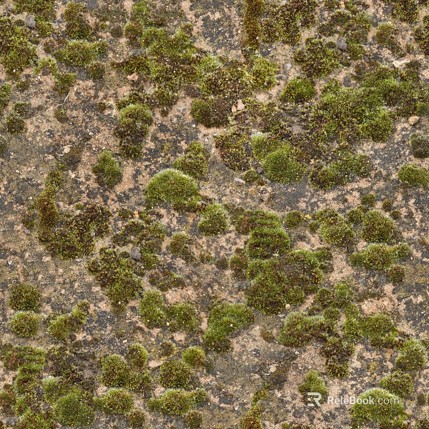 moss texture