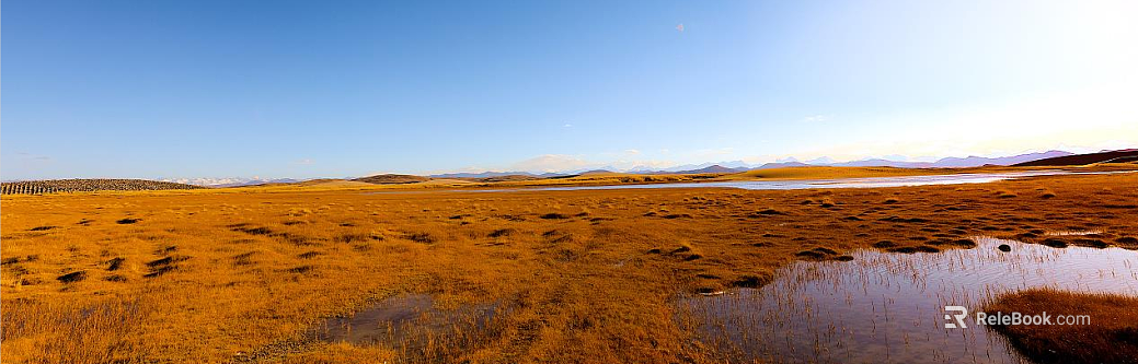 Wild Scenery texture