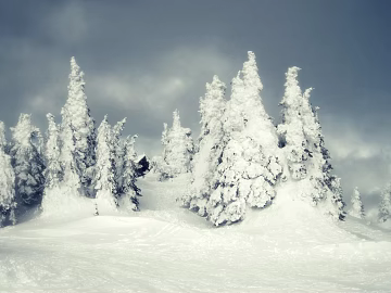 Snow texture (ID:ffaeg37216)