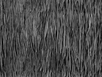 Thatch texture (ID:ffacg78195)