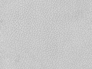 Coarse-grain leather texture (ID:ffajf4351)