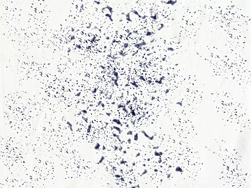 Splash texture (ID:ffajg63214)