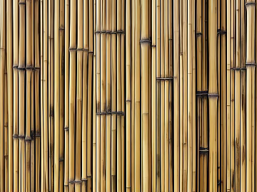 Bamboo Bamboo Leaves Bamboo Bamboo Bamboo Section texture (ID:ffach992774)