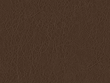 Coarse-grain leather texture (ID:ffaff8568)