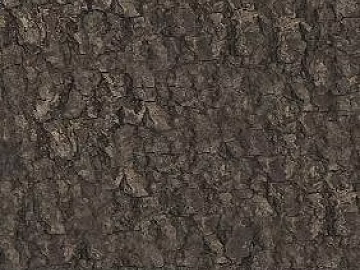 bark texture (ID:ffabf4904)