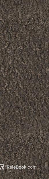 bark texture