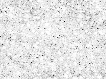 Black and White Bump texture (ID:ffaeg23635)