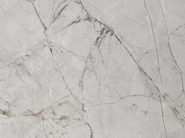 fish maw ash texture (ID:ffajh549872)