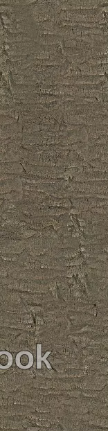 bark texture