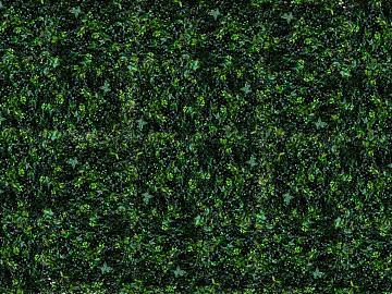 Turf texture (ID:ffaeg89906)