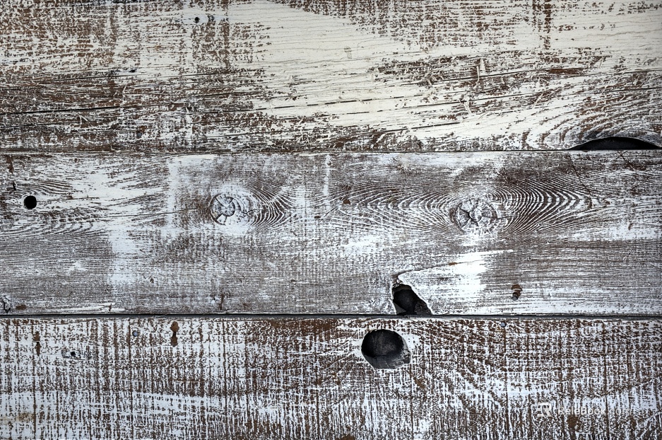 Wooden panel texture