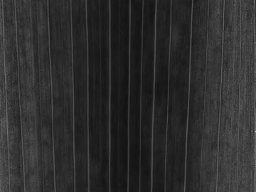 Black and White Bump texture (ID:ffadf6364)