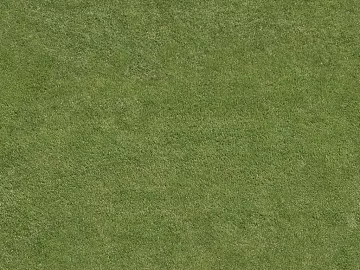 Turf texture (ID:ffajg08046)