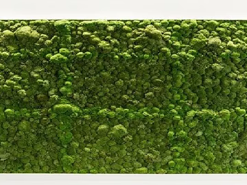 Plants texture (ID:ffaag45120)