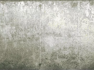 Cement Lime Wall Texture texture (ID:ffaag54449)