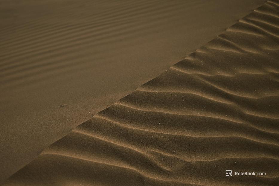 Sand texture