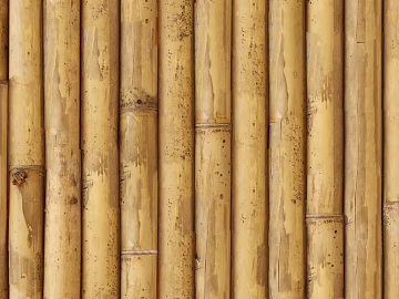 Bamboo texture (ID:ffaag99772)