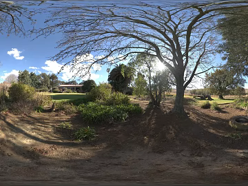 Outdoor Woods Road Daytime HDR texture (ID:ffabg74461)