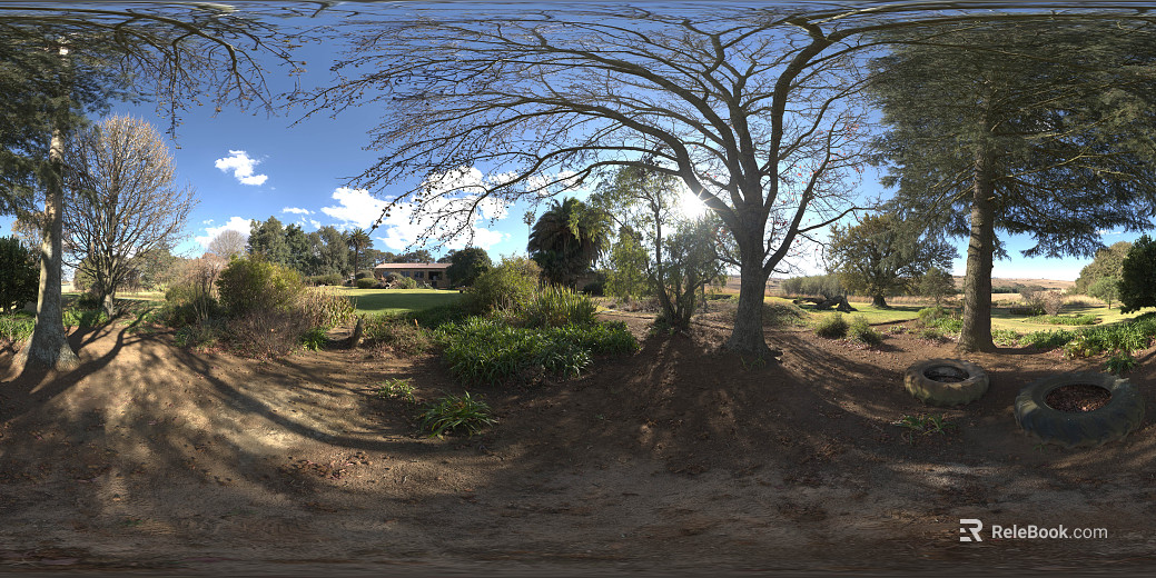 Outdoor Woods Road Daytime HDR texture