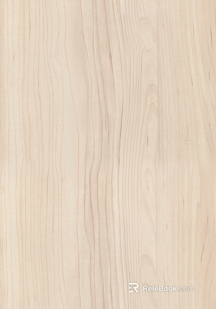 Champagne Hard Maple texture