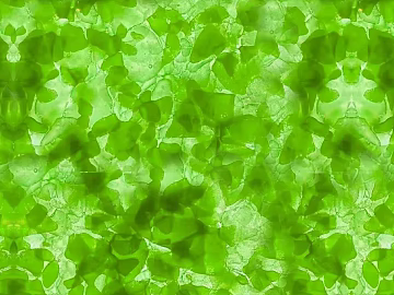 transparent stone texture (ID:ffach417606)