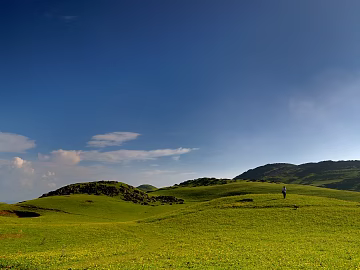 Wild Scenery texture (ID:ffaeg37980)