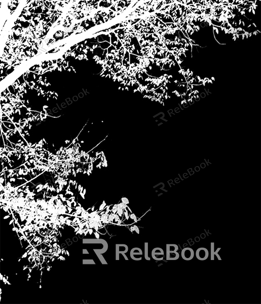 black and white tree shadow texture