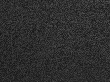 fine grain leather 3d model