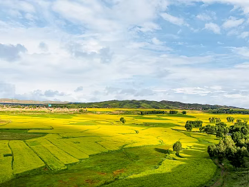 Pastoral scenery texture (ID:ffach383075)