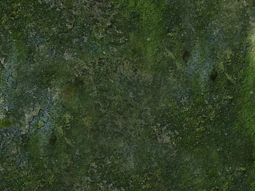 moss texture (ID:ffacg32902)