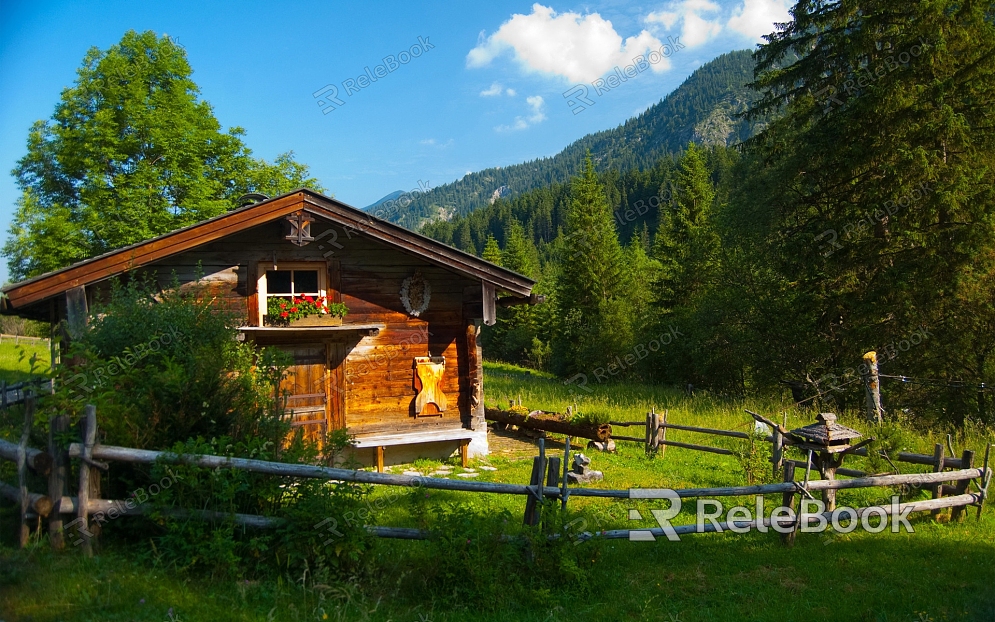 Wooden House texture