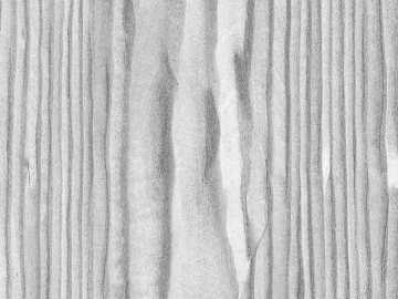 Black and White Bump texture (ID:ffacg51111)