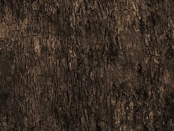 bark texture (ID:ffaeg33668)