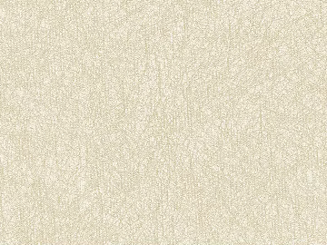 Plain pattern carpet texture (ID:ffajg55235)
