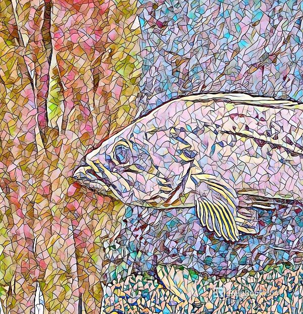 Children's Wallpaper texture