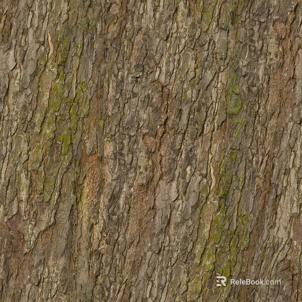 ancient tree bark texture