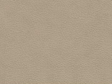 Coarse-grain leather texture (ID:ffabg95737)