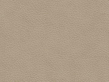 Coarse-grain leather texture (ID:ffabg95737)