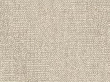 plain cloth texture (ID:ffach438366)