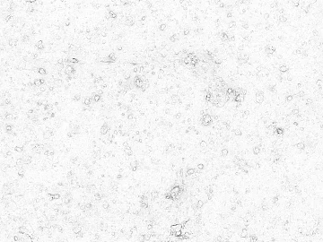 Highlight Mask texture (ID:ffaef7921)