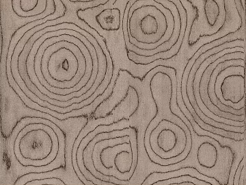 Light-colored annual rings, wood leather, wood grain texture (ID:ffach736338)