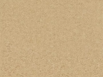 Mud texture (ID:ffaag52852)