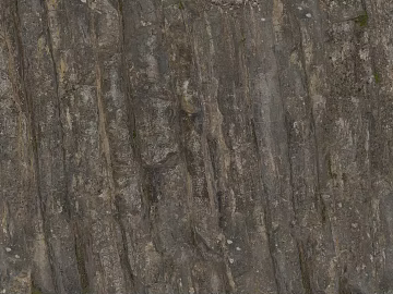 mountain rock wall texture (ID:ffacg01689)
