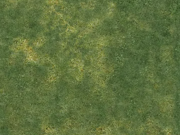 Turf texture (ID:ffajg16311)