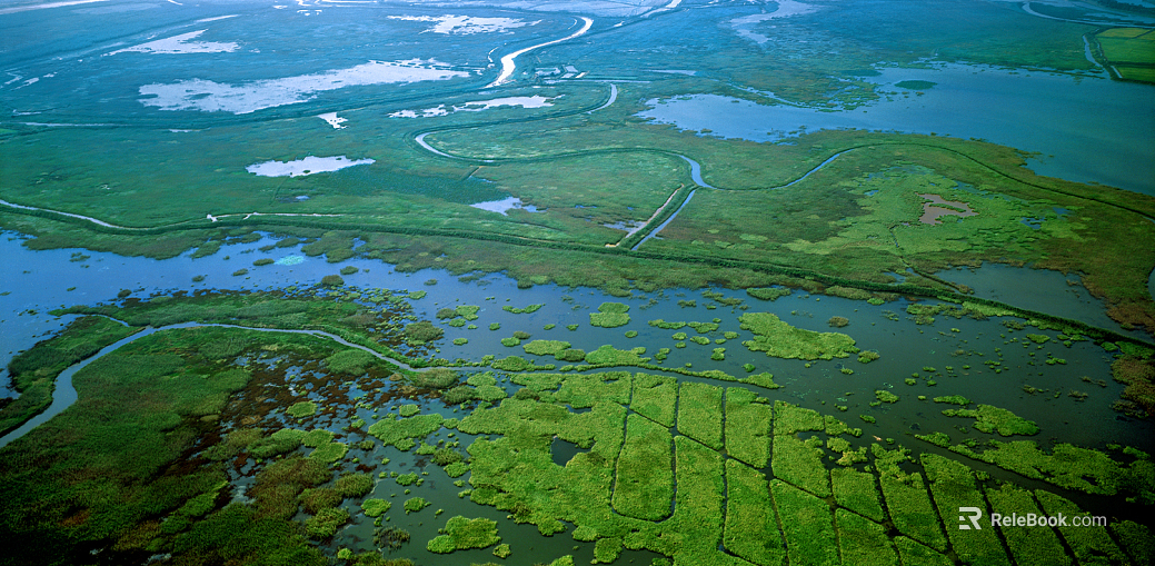 Wild Scenery texture