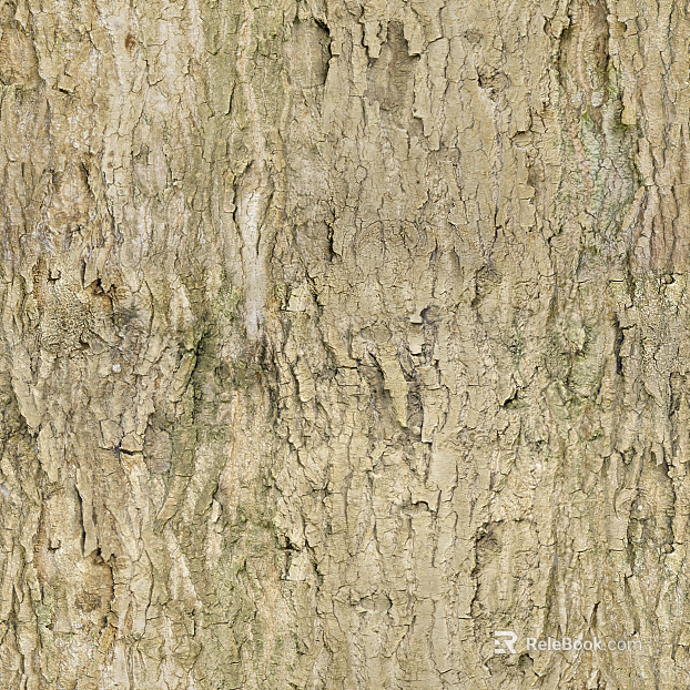 bark texture