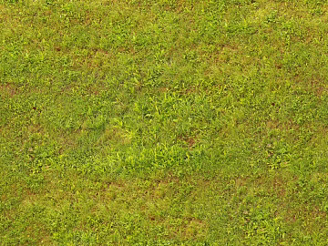Grass Turf Slope texture (ID:ffaeh964467)