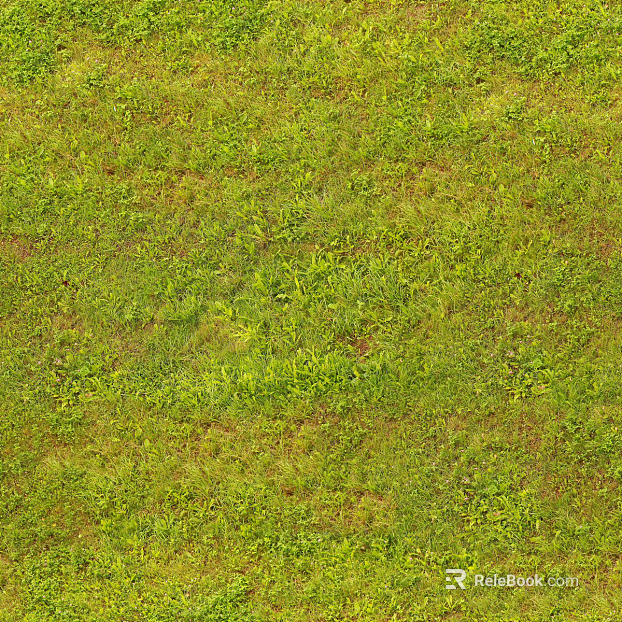 Grass Turf Slope texture