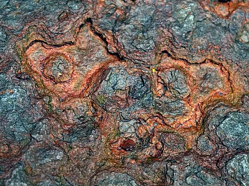 bark texture (ID:ffaag94197)